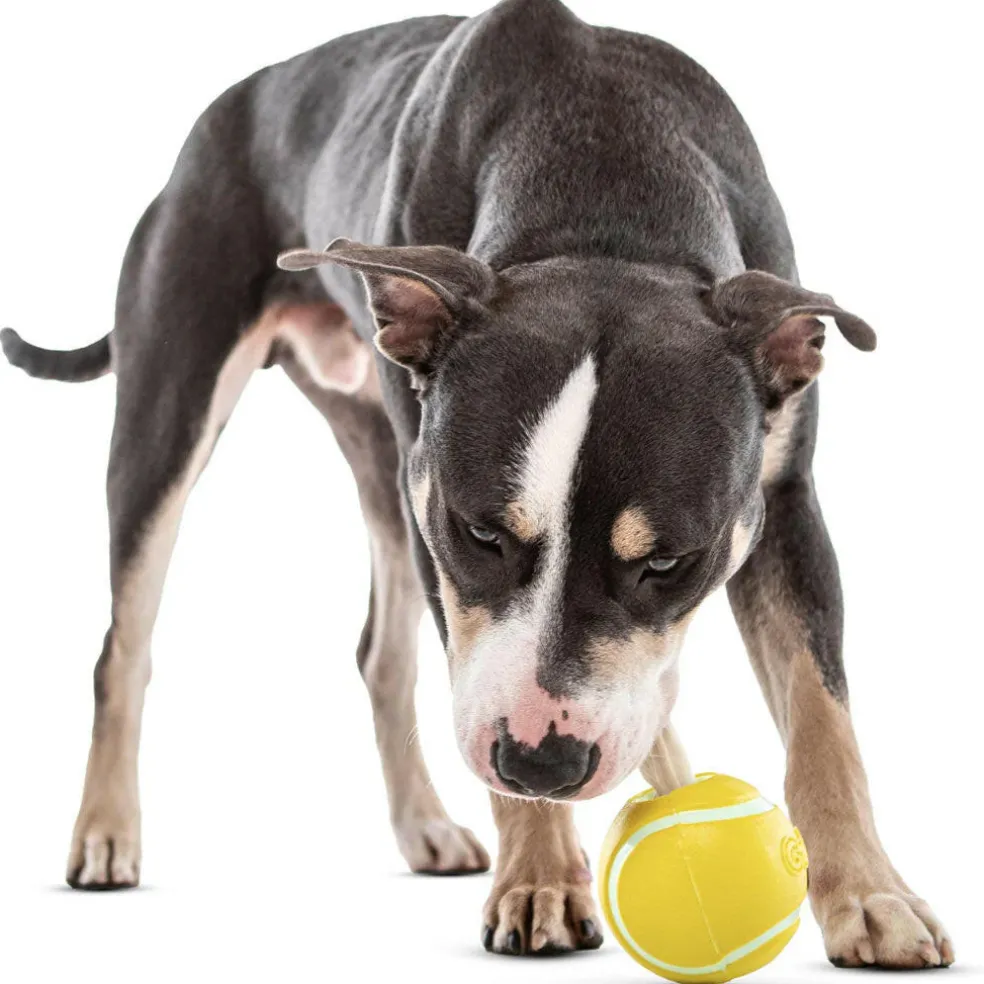 GURU Tennis Treat Holder Ball Dog Toy, Medium