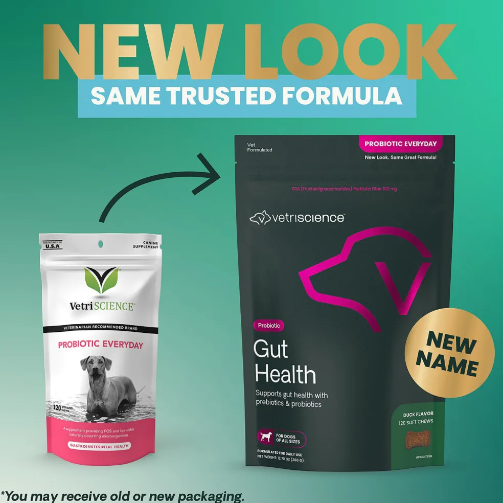 Gut Health Chews for Dogs
