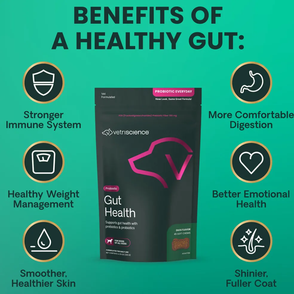 Gut Health Chews for Dogs