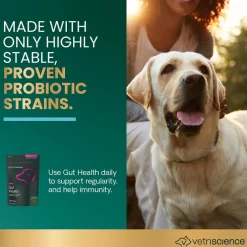 Gut Health Chews for Dogs