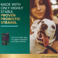 Gut Health Chews for Dogs