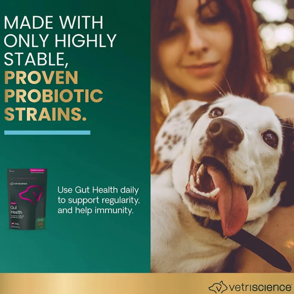 Gut Health Chews for Dogs