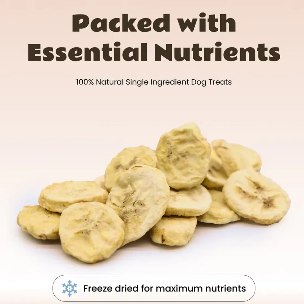 Happy Olly Happy Olly Freeze Dried Banana Slices- Single Ingredient Dog Treats, 2-oz