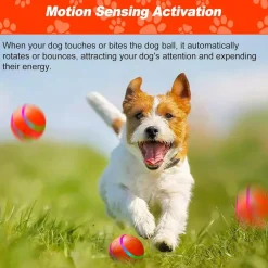 HardyPaw Auto Pet Toy Ball