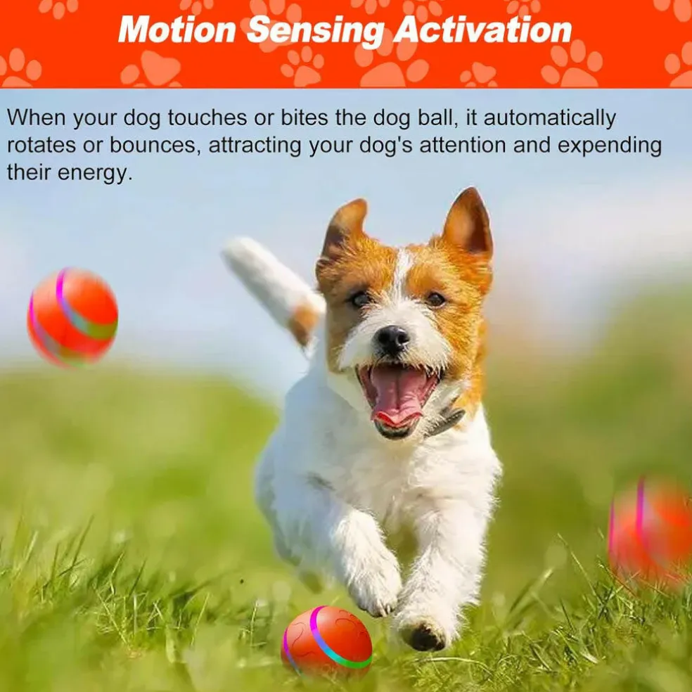 HardyPaw Auto Pet Toy Ball