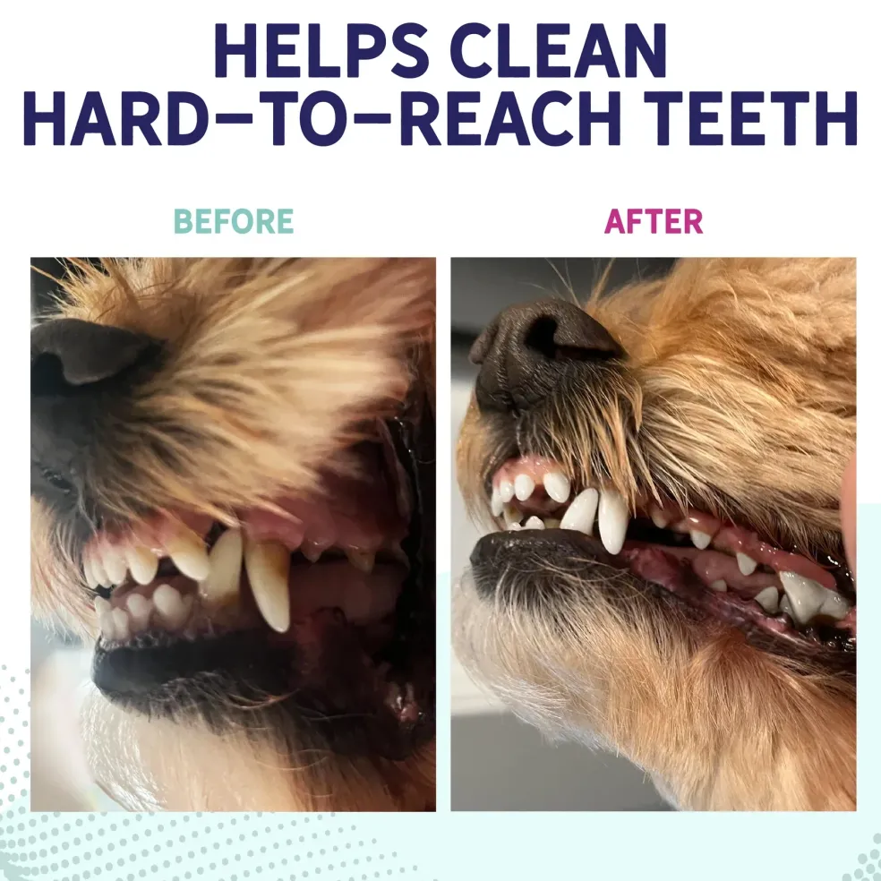 Health Extension Probiotic Dental Chews For Dogs