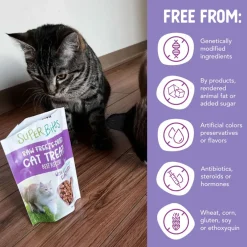 Health Extension SuperBites Freeze-Dried Raw Beef Recipe Cat Treats, 0.75-oz