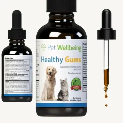 Healthy Gums for Canine Periodontal Health