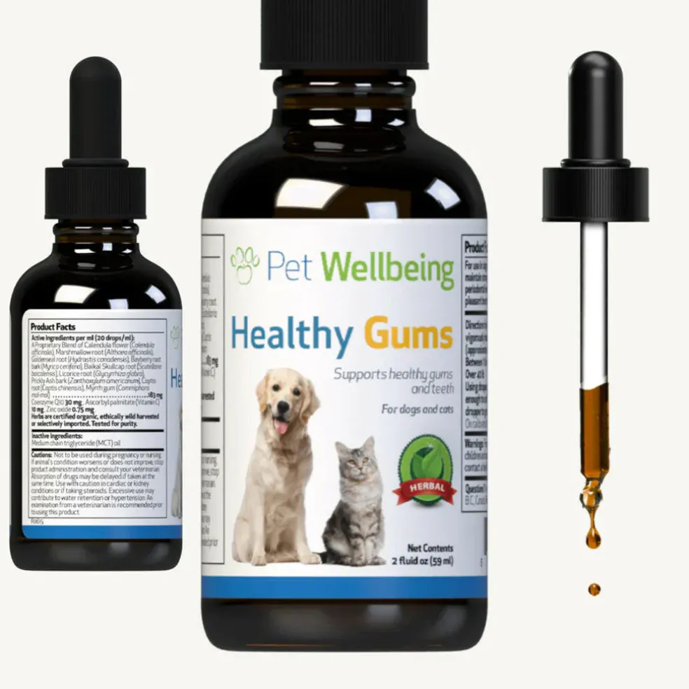 Healthy Gums for Canine Periodontal Health