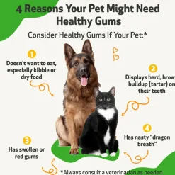 Healthy Gums for Canine Periodontal Health