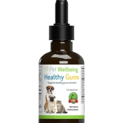 Healthy Gums for Feline Periodontal Health