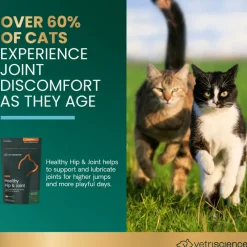 Healthy Hip & Joint Chews for Cats