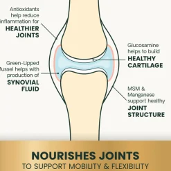Healthy Hip & Joint Chews for Cats