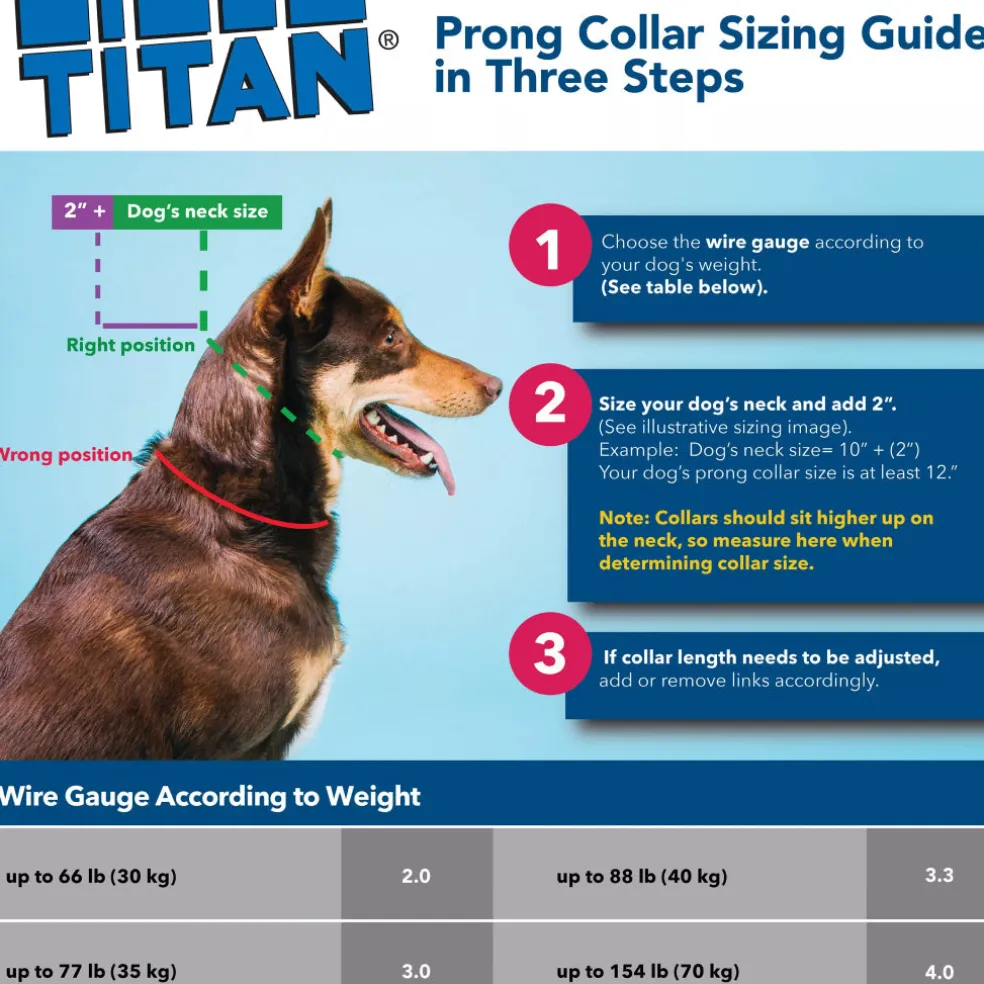 Herm Sprenger Titan Prong Training Collar For Dogs