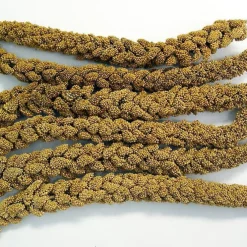 Higgins Spray Millet Treats For Birds