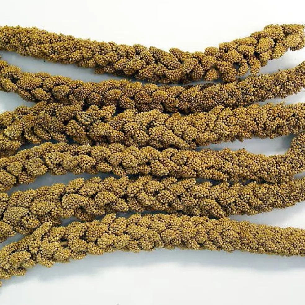 Higgins Spray Millet Treats For Birds