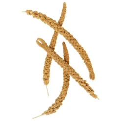 Higgins Spray Millet Treats For Birds