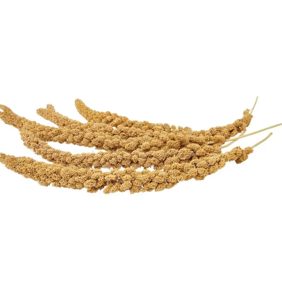 Higgins Spray Millet Treats For Birds
