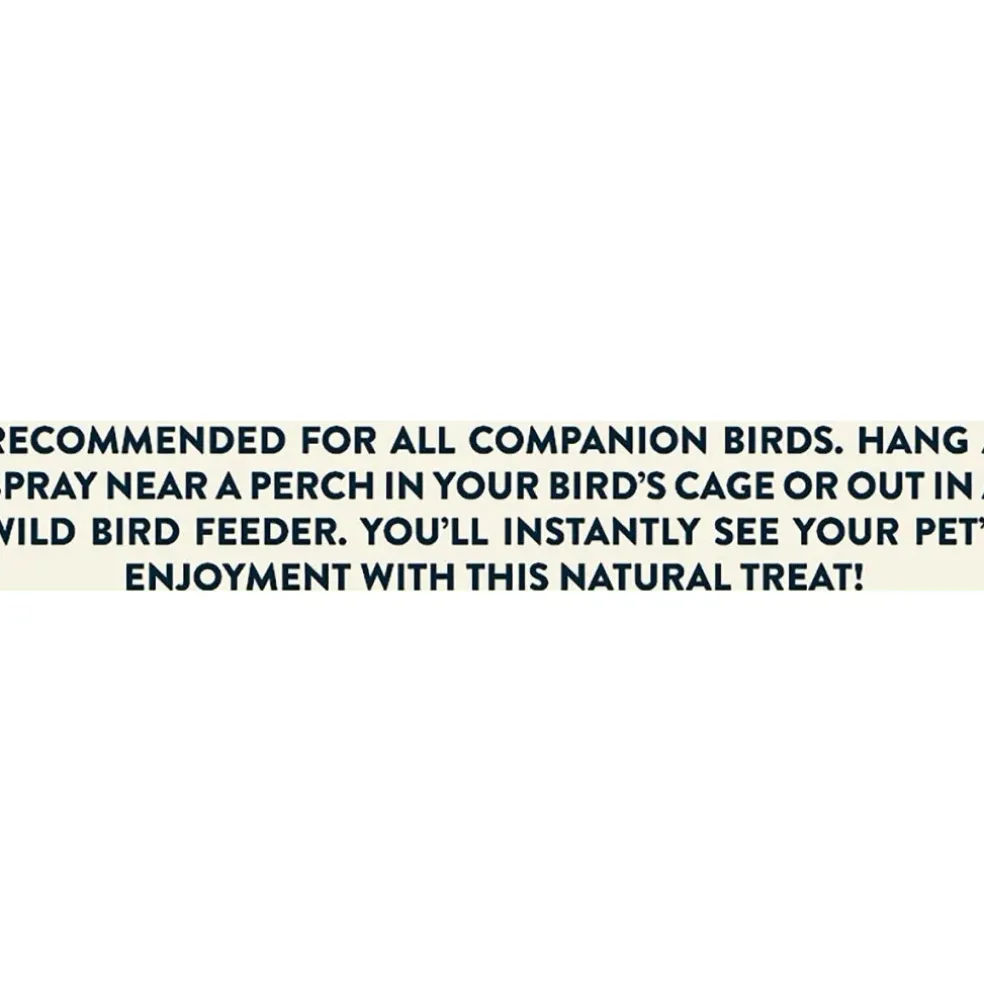 Higgins Spray Millet Treats For Birds