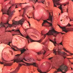 Higgins Sunburst Freeze Dried Fruit Berry Patch For Small Animals (0.52 oz)