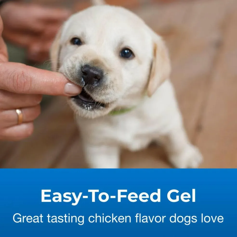 High Calorie Gel Supplement for Dogs (5 oz)
