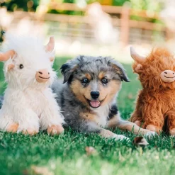 Highland Cow Toy for Dogs, Assorted Colors