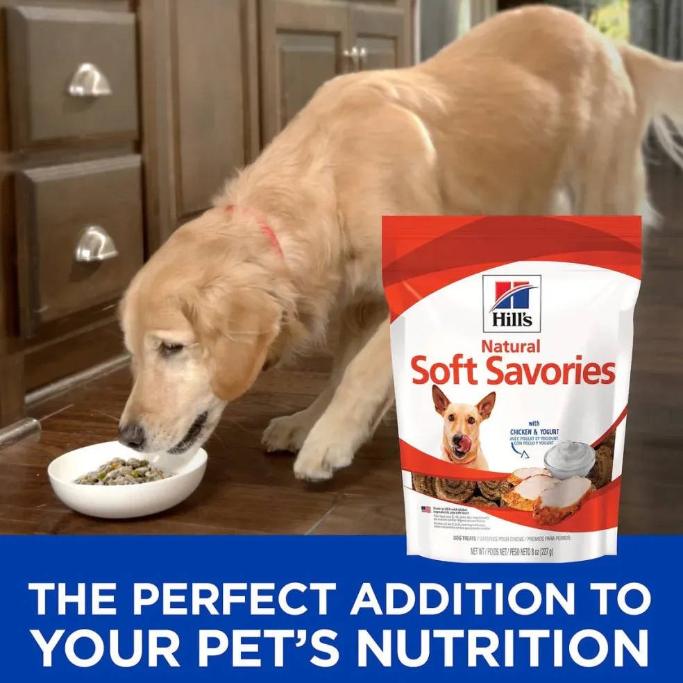Hill's Natural Soft Savories Dog Treats (8 oz)