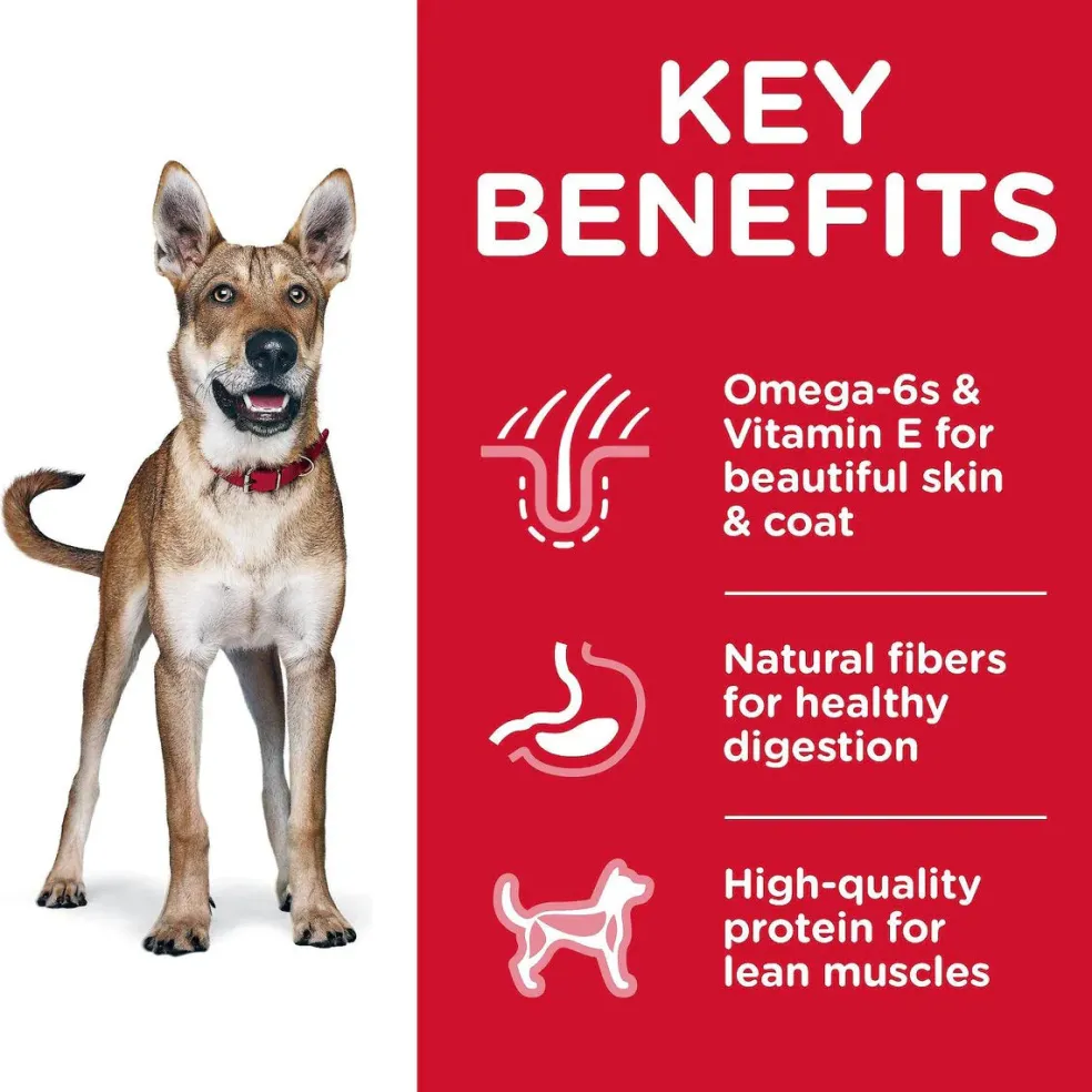Hill's Science Diet Adult Dry Dog Food Chicken & Barley Recipe