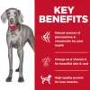 Hill's Science Diet Adult Large Breed No Corn, Wheat or Soy Dry Dog Food, Chicken, 30 lb Bag