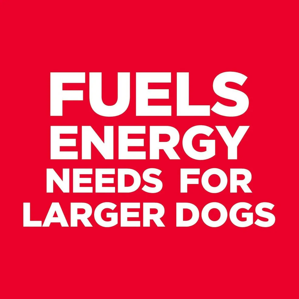 Hill's Science Diet Adult Light Large Breed Dry Dog Food, Chicken Meal & Barley