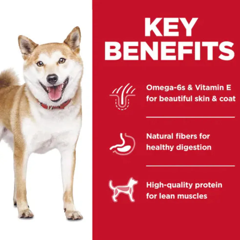 Hill's Science Diet Adult No Corn, Wheat or Soy Dry Dog Food, Chicken Recipe