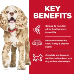 Hill's Science Diet Adult 11+ Small & Mini Chicken Meal, Brown Rice & Barley Recipe Dry Dog Food