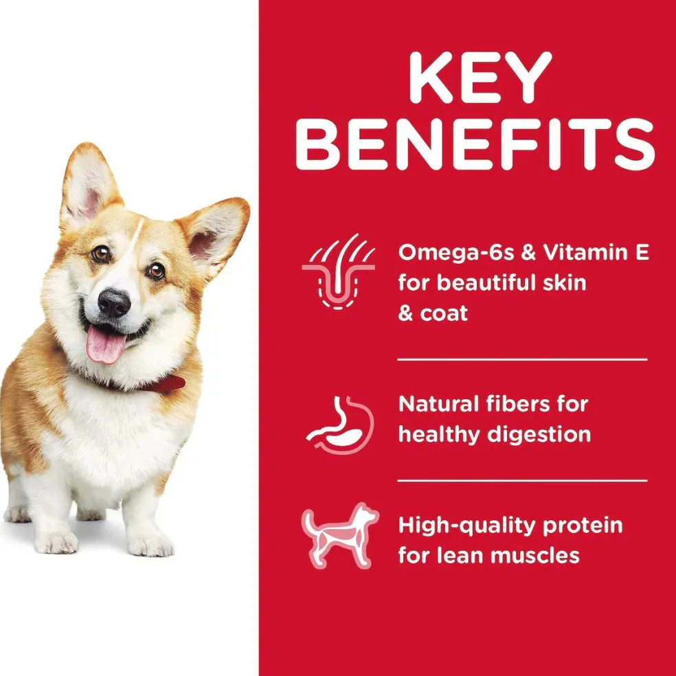 Hill's Science Diet Adult Small Bites Dry Dog Food, Chicken & Barley Recipe
