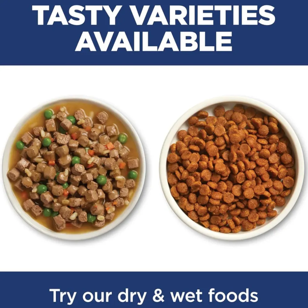 Hill's Science Diet Indoor Adult Salmon & Vegetables Stew Wet Food For Cats (2.8 oz x 24 pouches)