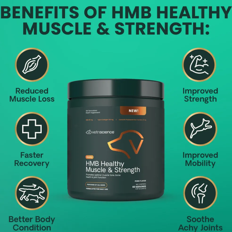 HMB Healthy Muscle & Strength Granules for Dogs