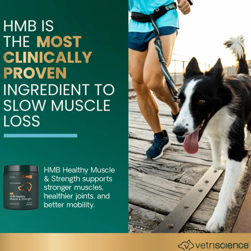 HMB Healthy Muscle & Strength Granules for Dogs