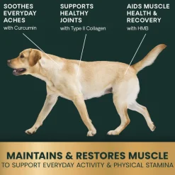 HMB Healthy Muscle & Strength Granules for Dogs