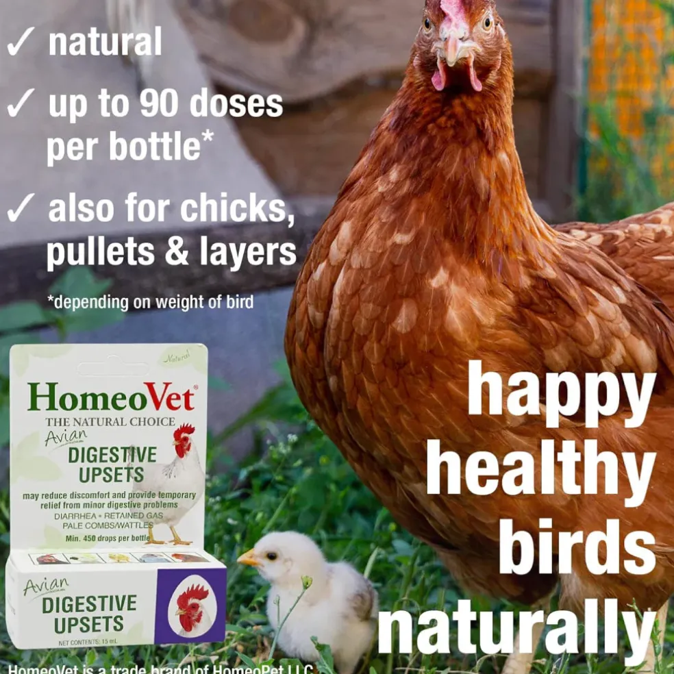 HomeoPet Avian Digestive Upsets For Poultry & Pet Birds (15 ml)