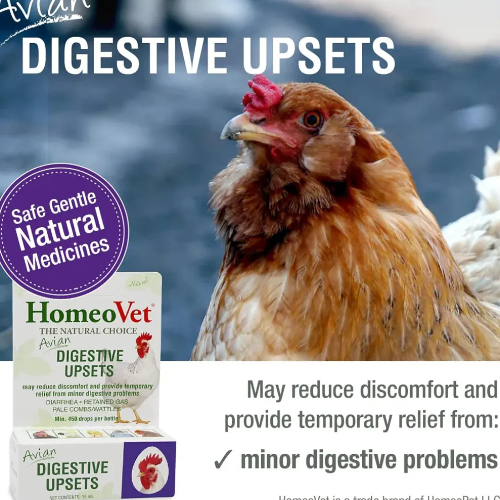 HomeoPet Avian Digestive Upsets For Poultry & Pet Birds (15 ml)