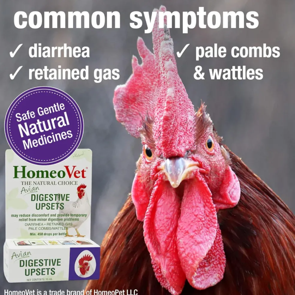HomeoPet Avian Digestive Upsets For Poultry & Pet Birds (15 ml)