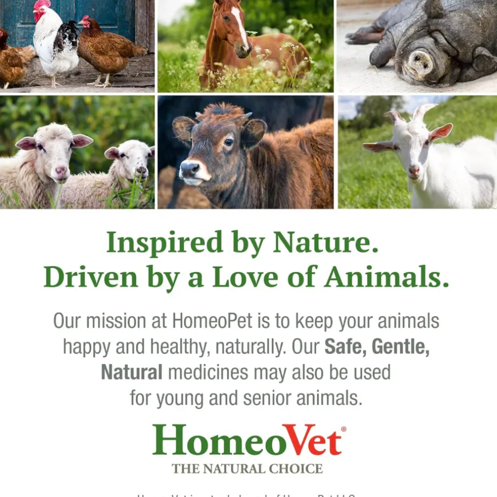 HomeoPet Avian Digestive Upsets For Poultry & Pet Birds (15 ml)