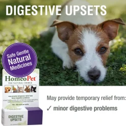 HomeoPet Digestive Upsets For Pets (15 ml)