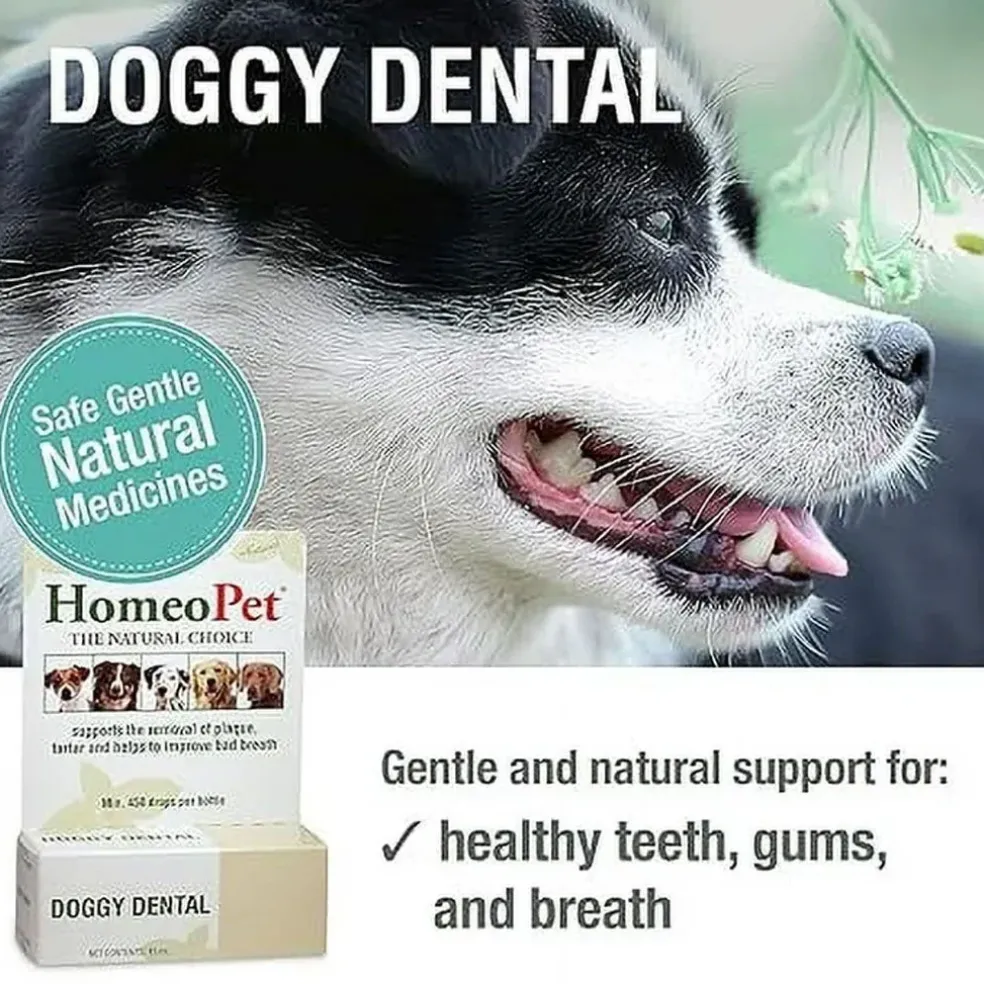 HomeoPet Doggy Dental, 15-ml