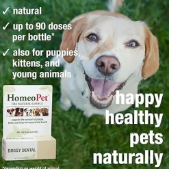 HomeoPet Doggy Dental, 15-ml