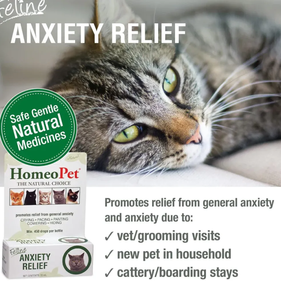 HomeoPet Feline Anxiety Relief For Cats (15 ml)