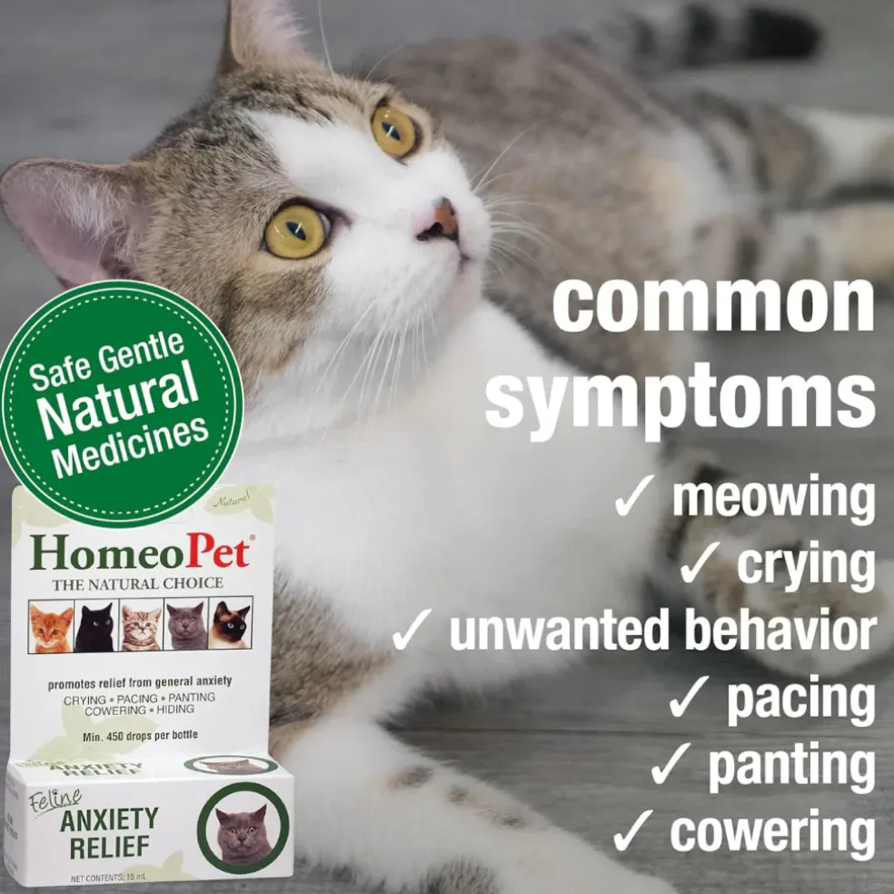 HomeoPet Feline Anxiety Relief For Cats (15 ml)