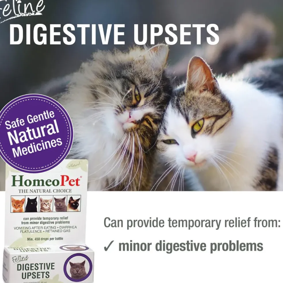 HomeoPet Feline Digestive Upsets For Cats (15 ml)