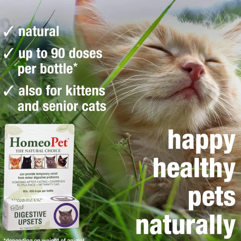 HomeoPet Feline Digestive Upsets For Cats (15 ml)