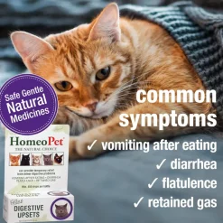 HomeoPet Feline Digestive Upsets For Cats (15 ml)
