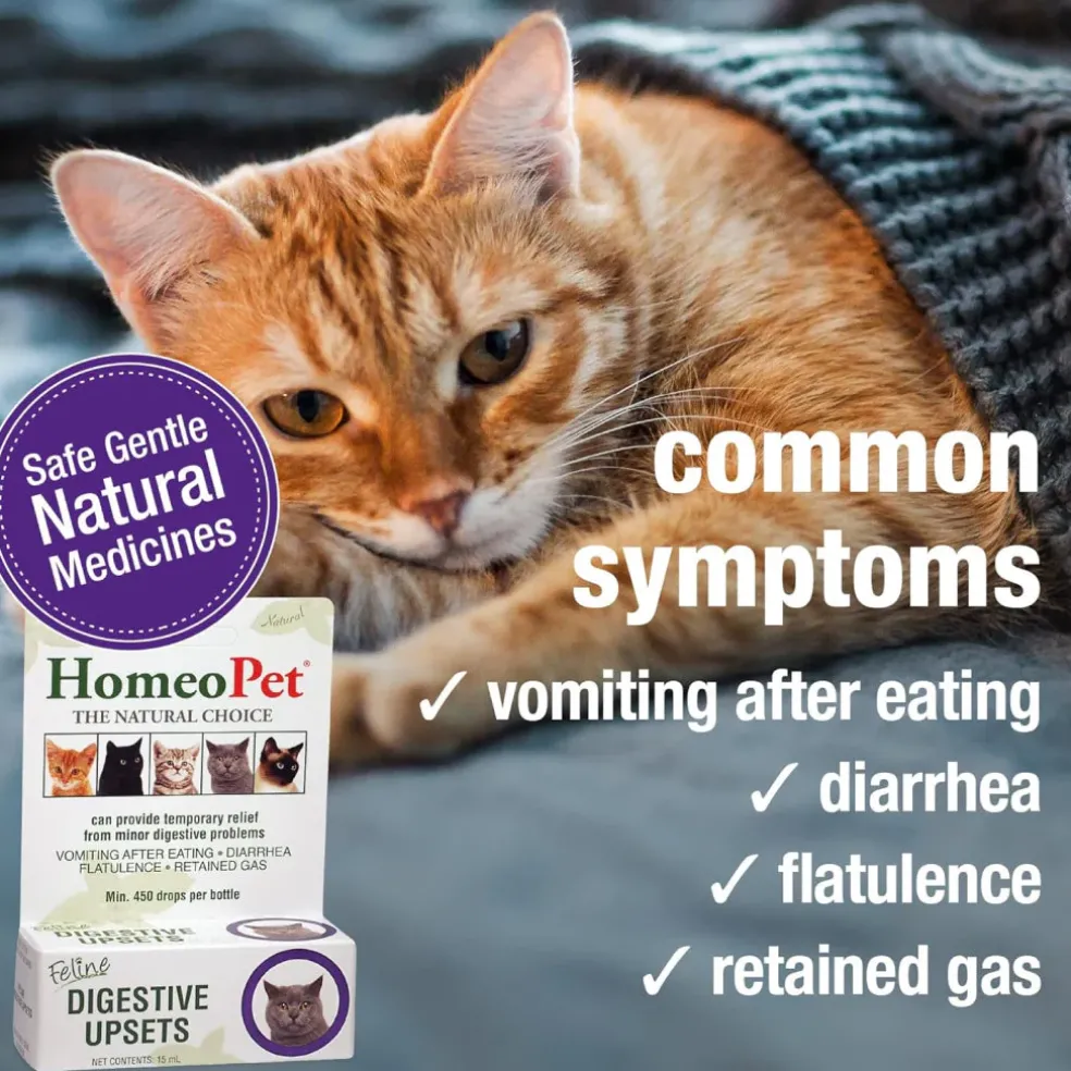 HomeoPet Feline Digestive Upsets For Cats (15 ml)